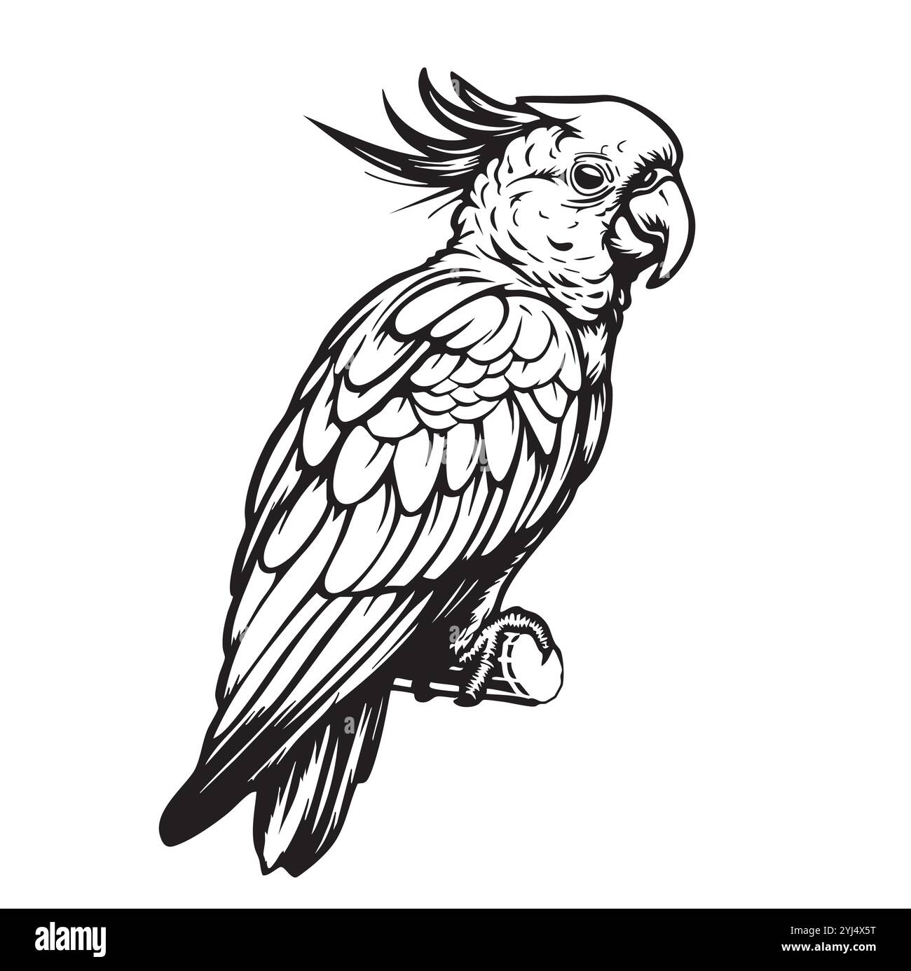 croquis de coloriage de perroquet cockatoo noir et blanc Illustration de Vecteur