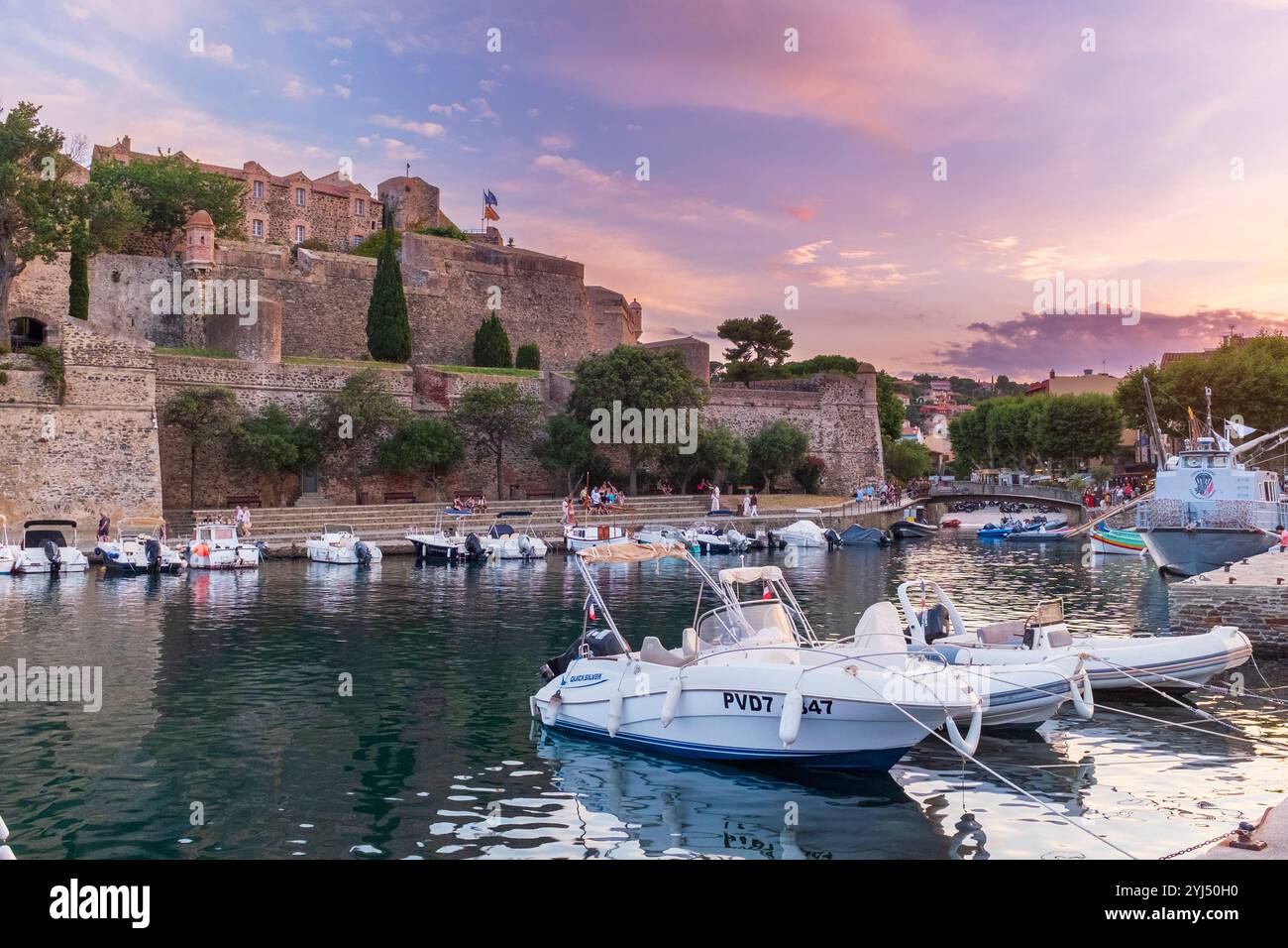 Vue Port de Collioure, Pyrénées Orientales, Roussillon, Occitanie, France, Europe Banque D'Images