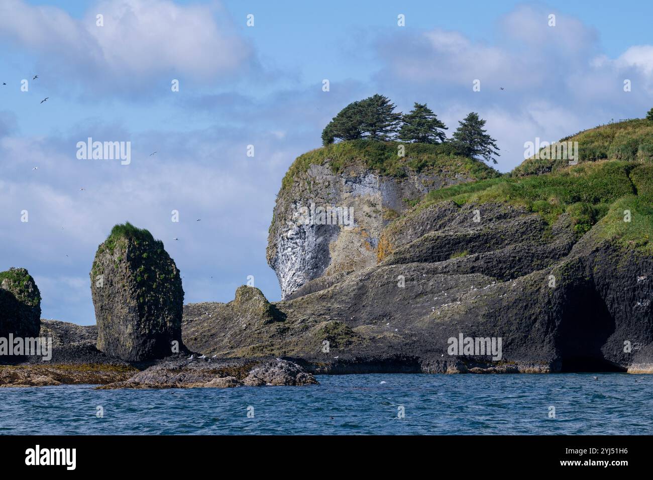 Alaska, Sitka. Alaska maritime National Wildlife refuge, île Saint Lazaria. Falaises d'oiseaux, qui abritent plus d'un demi-million d'oiseaux marins reproducteurs. Banque D'Images