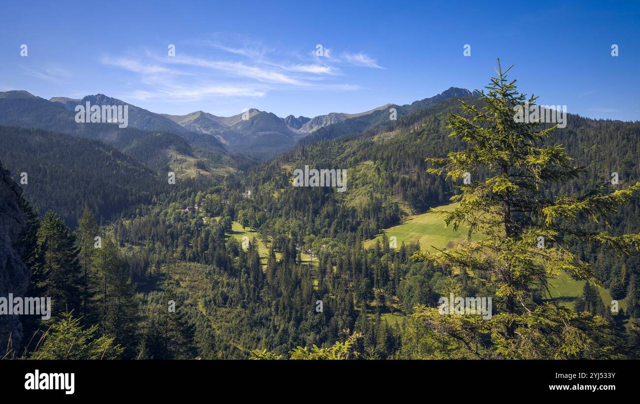 Un panorama à couper le souffle sur les montagnes des Carpates présente des vallées luxuriantes et des sommets imposants, le parc national des Tatras, en Pologne Banque D'Images