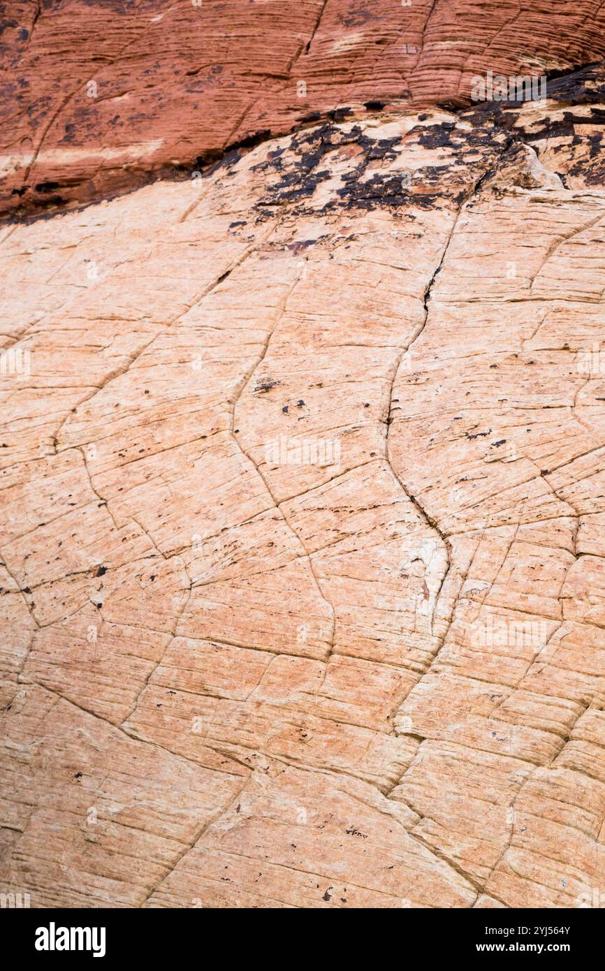 Un motif abstrait dans le grès des Calico Hills, Red Rock Canyon National conservation Area, Nevada Banque D'Images