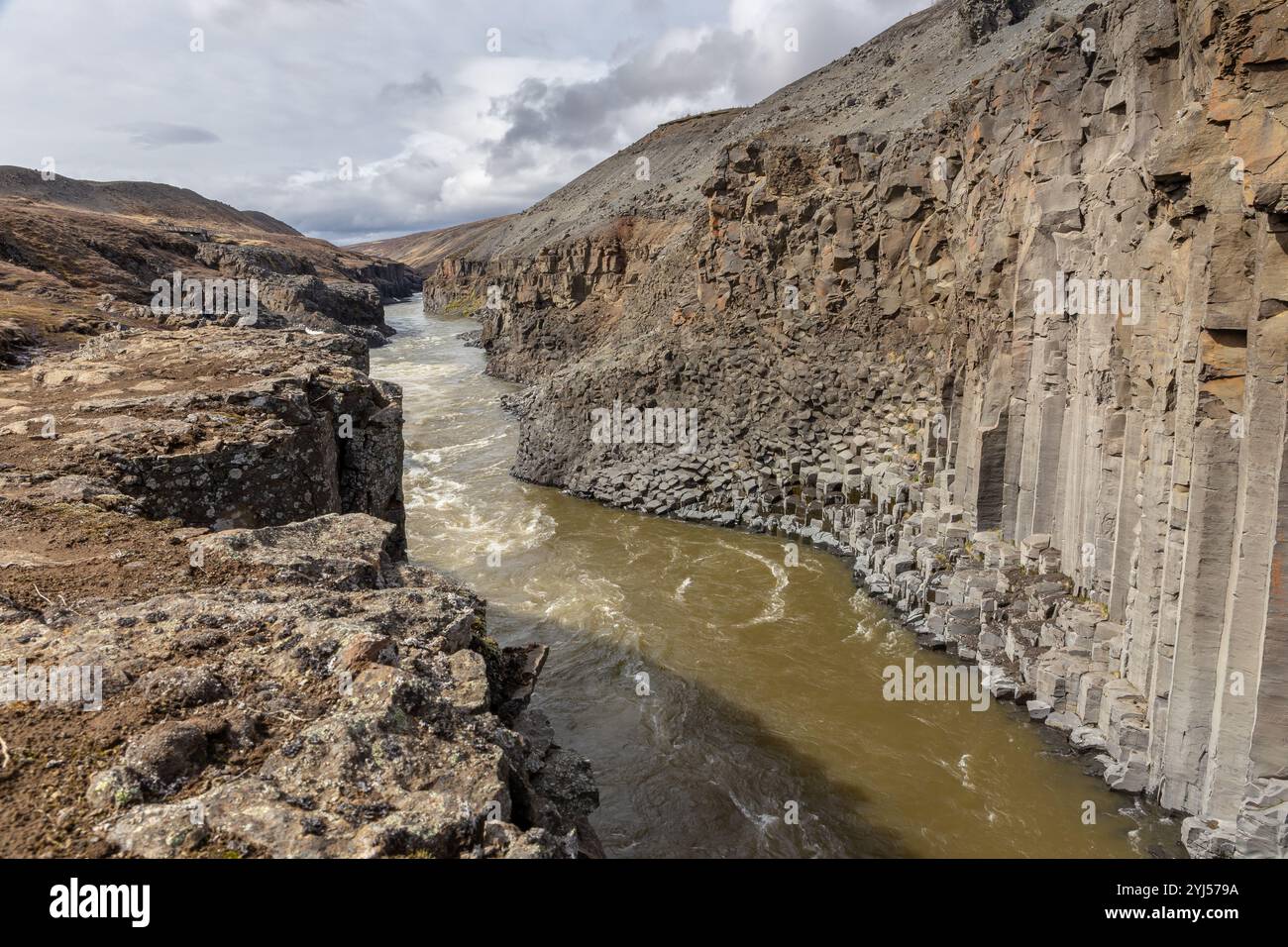 Canyon Studlagil (canyon basalte) vue du ravin avec rivière glaciaire brune et colonnes de basalte verticales, Islande. Banque D'Images