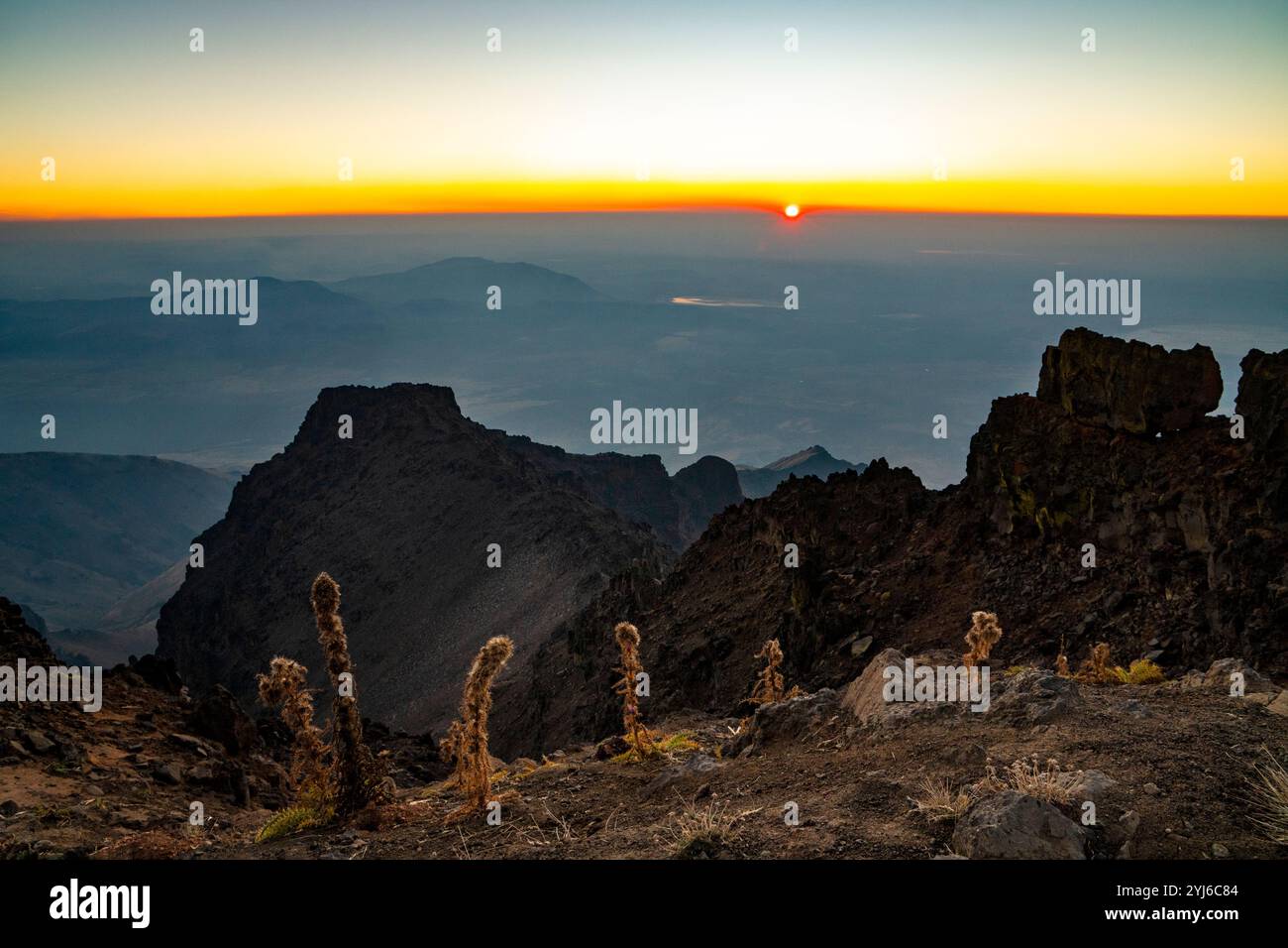 Steens Mountain lever de soleil depuis le plateau est avec des chardons endémiques de Steens Mountain alignés jusqu'au grand soleil du matin. Banque D'Images