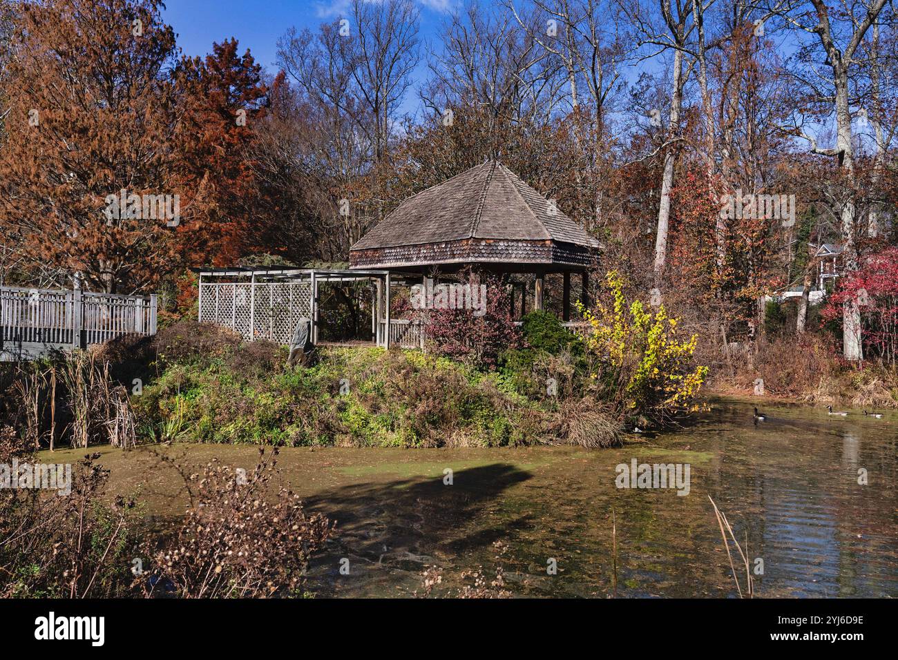 Une maison en bois au bord du lac à l'automne Banque D'Images