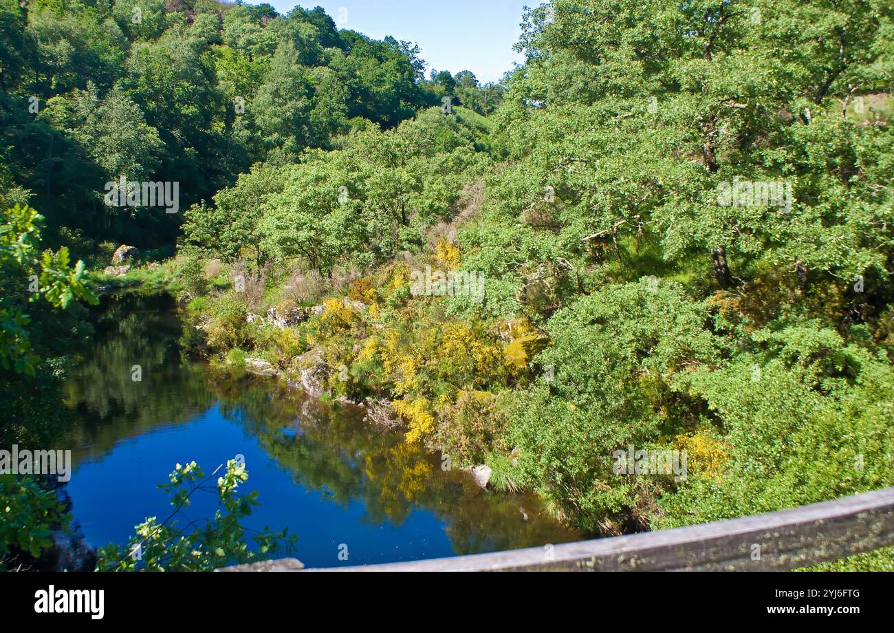 Image d'une rivière avec une pente remplie d'une végétation verte abondante. Banque D'Images