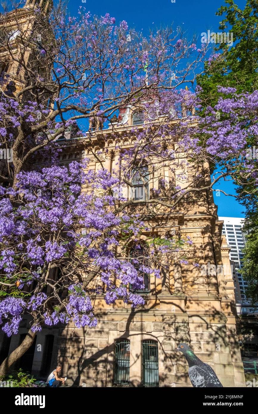 Hôtel de ville de Sydney dans George Street. Sydney, Nouvelle-Galles du Sud, Australie Banque D'Images