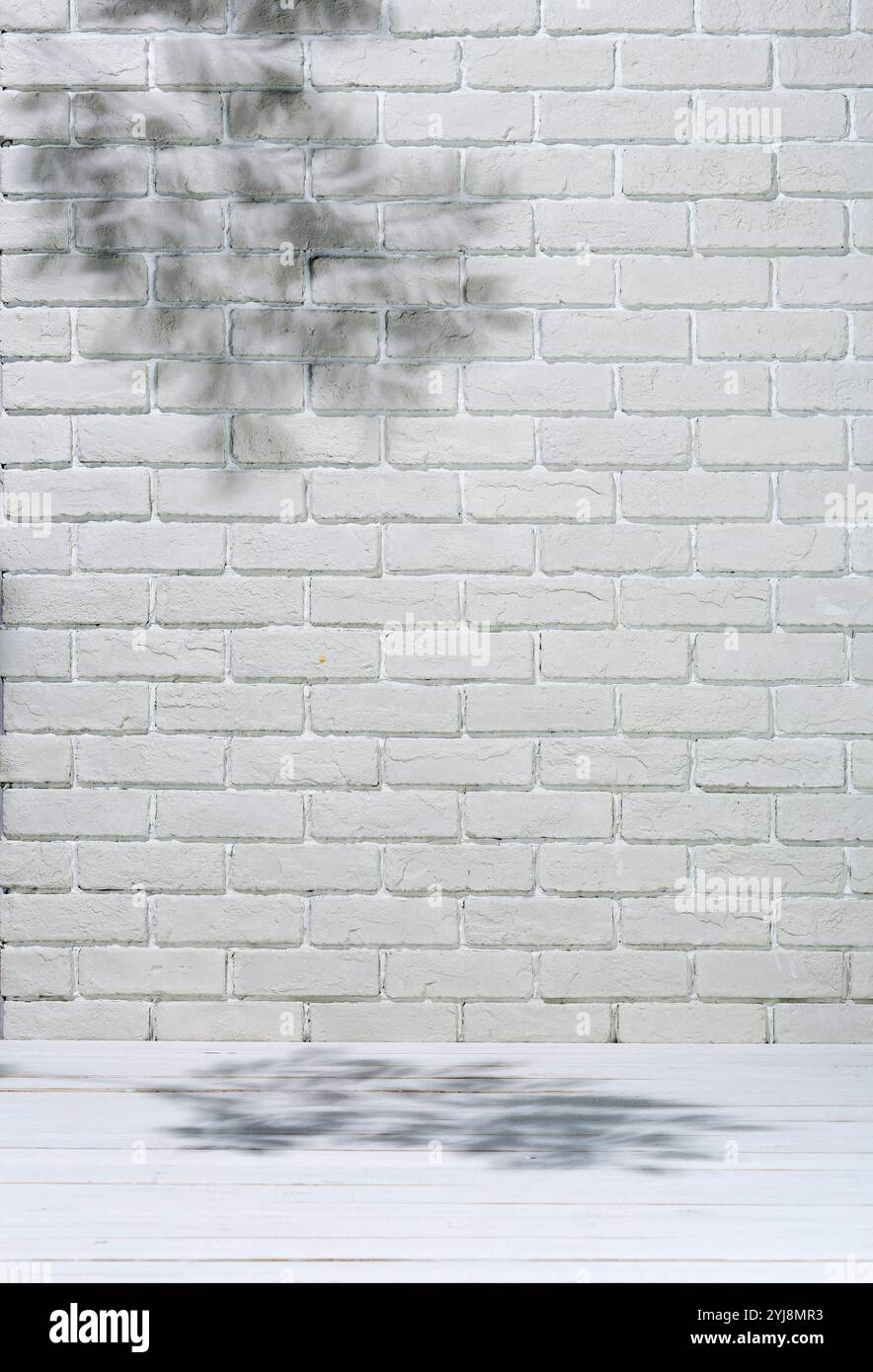 Mur blanc et arbre d'ombrage Banque D'Images