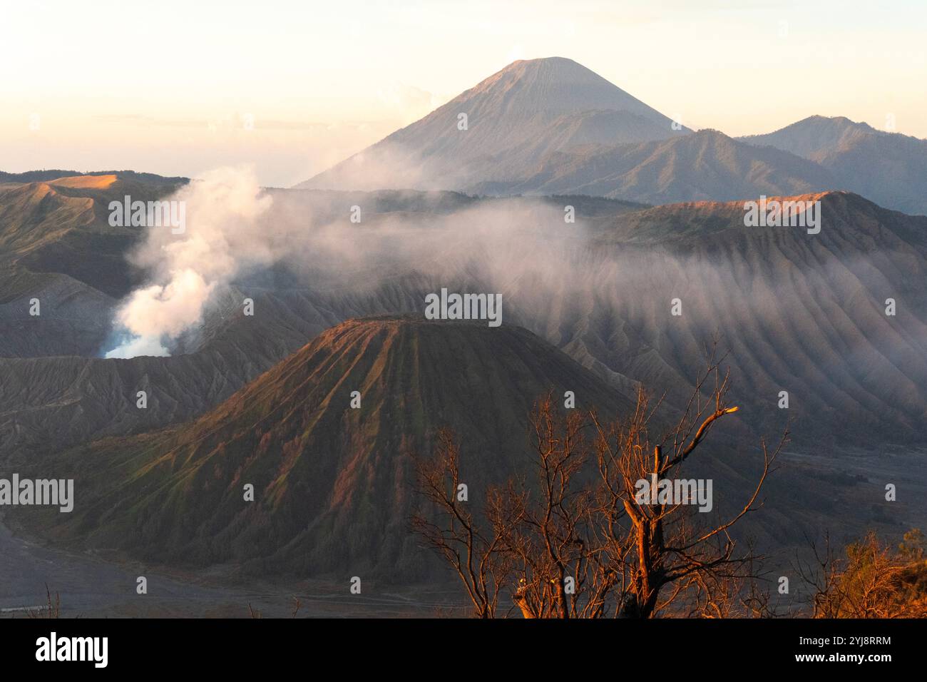 Lever de soleil du Mont bromo en Indonésie Banque D'Images