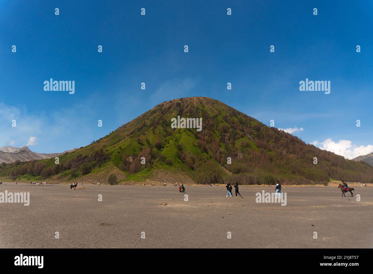 Colline verte près du cratère du mont bromo Banque D'Images