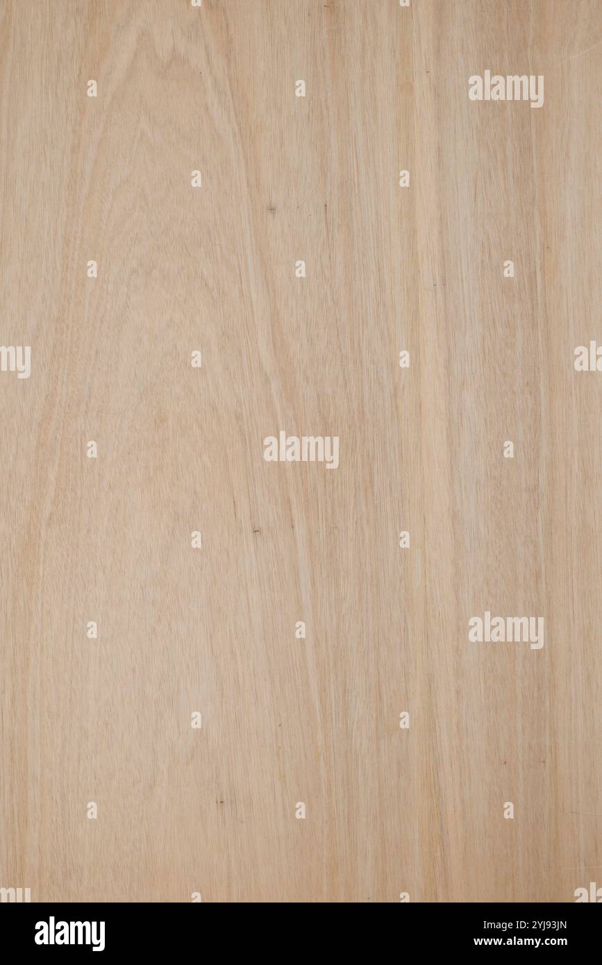 Fond de planche de grain de bois Banque D'Images