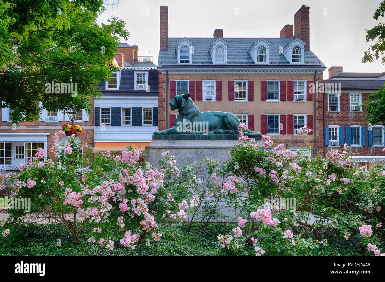 Statue de tigre dans Palmer Squar surronded par Blooming Roses, Princeton, New Jersey, États-Unis Banque D'Images