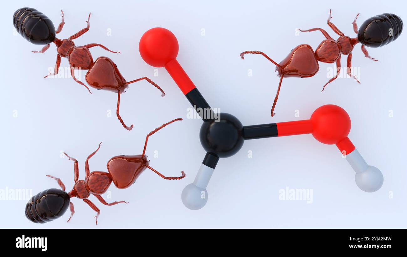 Rendu 3D de Formica rufa ou fourmi de bois rouge, il peut pulvériser un puissant jet d'acide formique, une arme chimique qui peut dissuader les prédateurs et les ennemis. Banque D'Images