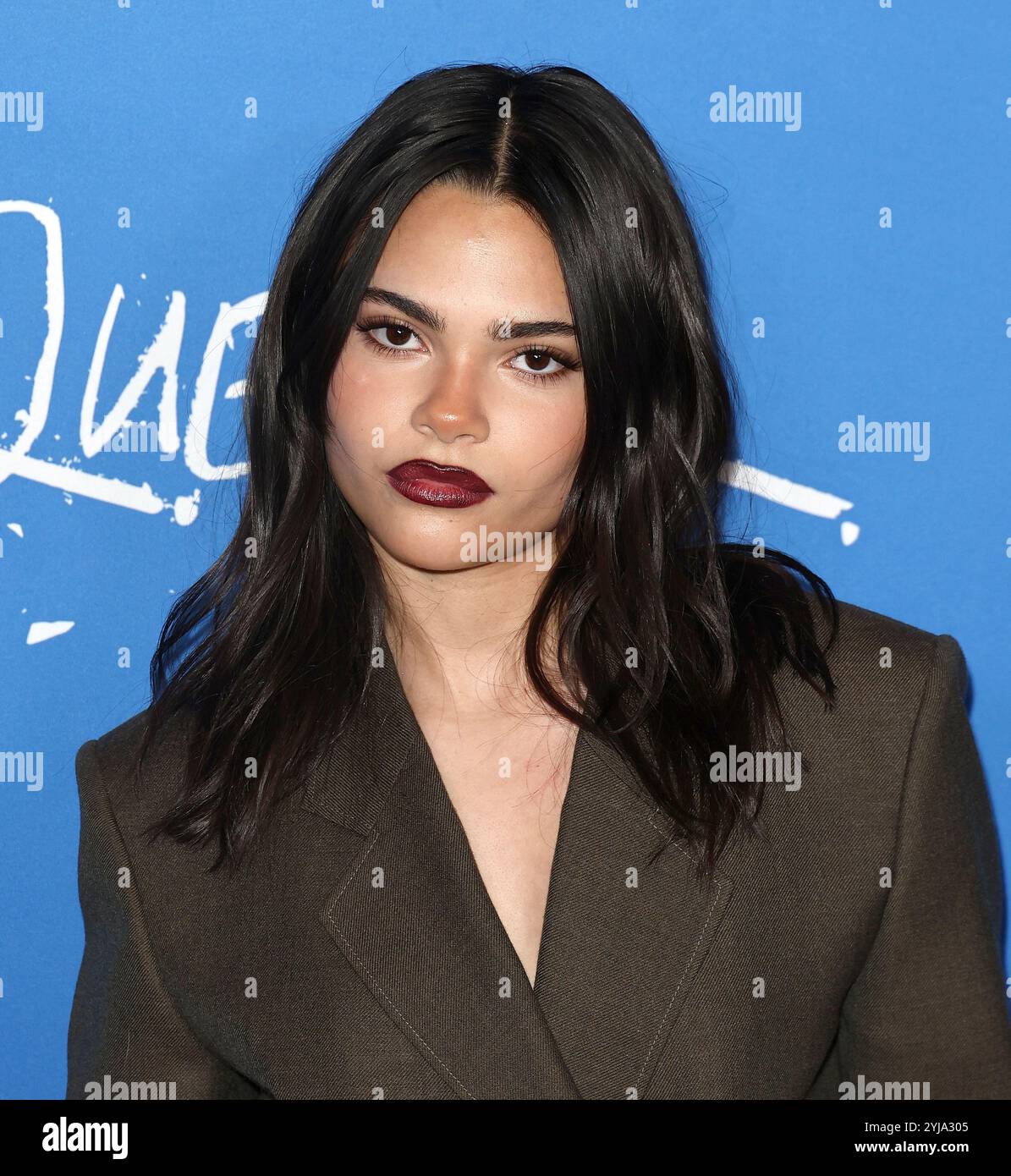 Los Angeles, États-Unis. 13 novembre 2024. Ariana Greenblatt arrive à la première de QUEER à Los Angeles qui se tient au DGA Theater à Los Angeles, CA le mercredi 13 novembre 2024. (Photo de Juan Pablo Rico/Sipa USA) crédit : Sipa USA/Alamy Live News Banque D'Images
