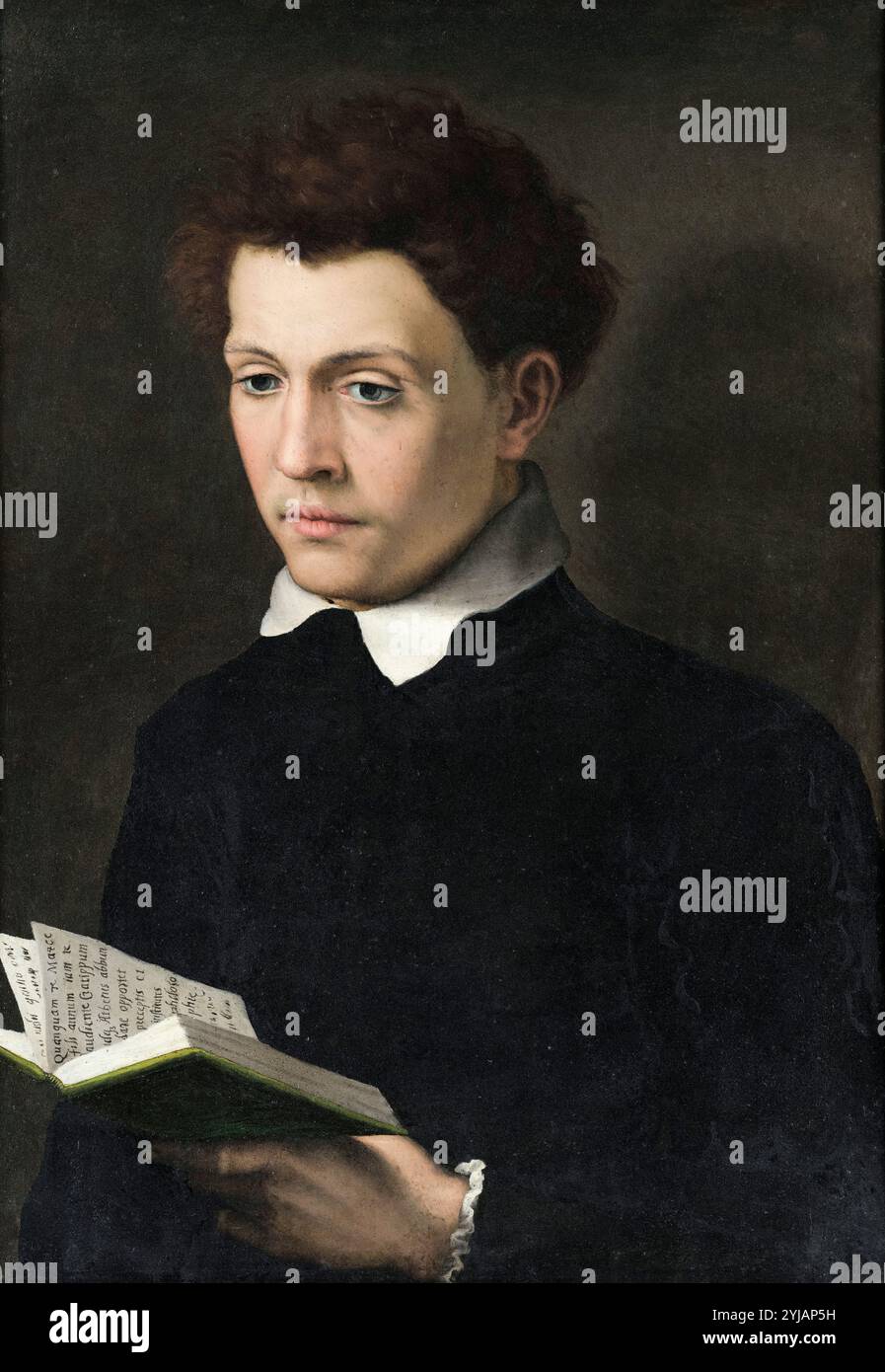 Sofonisba Anguissola, Portrait d'un jeune homme, peinture à l'huile sur toile, avant 1625 Banque D'Images