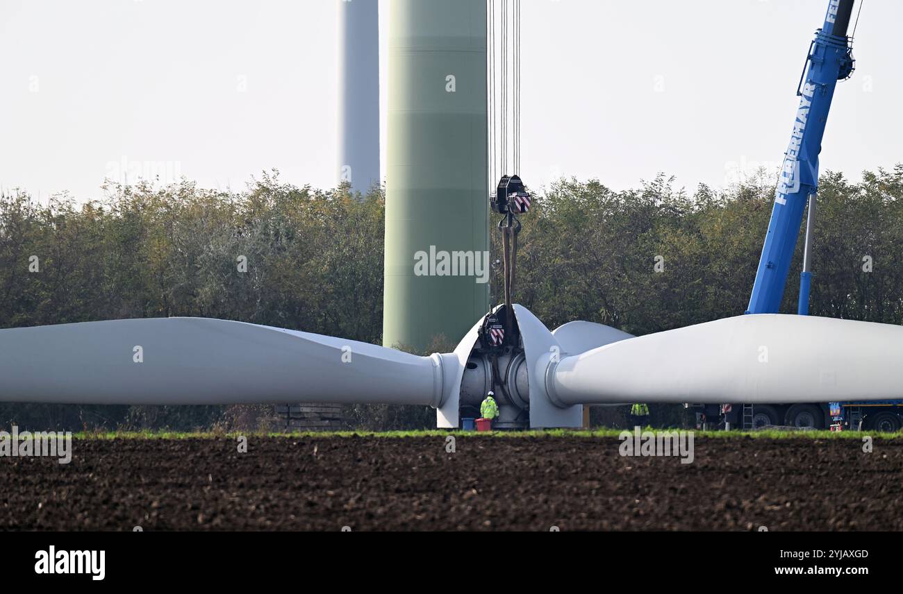 IMAGE THÉMATIQUE - projet 'capturer l'avenir' : illustration sur les thèmes du parc éolien/énergie/électricité/éoliennes/énergie éolienne/énergie éolienne. Le plus grand parc éolien d'Autriche est en construction dans le Burgenland. Le projet éolien produira environ 122 mégawatts à partir de 23 éoliennes de dernière génération. Les plus grandes éoliennes de ce parc éolien atteindront une hauteur de 244 mètres jusqu’à la pointe de la pale. L'envergure d'une pale de rotor mesure 70-75 mètres et pèse environ 25 tonnes, ce qui signifie qu'à une hauteur de 244 mètres, elle pèse environ 75 tonnes. Démantèlement d'une vieille éolienne Banque D'Images