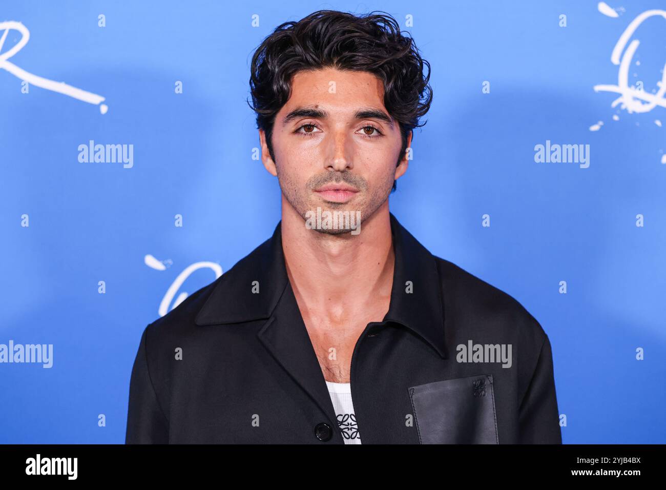 Los Angeles, États-Unis. 13 novembre 2024. LOS ANGELES, CALIFORNIE, États-Unis - 13 NOVEMBRE : Taylor Zakhar Perez arrive à la première de Los Angeles de 'Queer' d'A24 qui s'est tenue au Directors Guild of America Theater Complex le 13 novembre 2024 à Los Angeles, Californie, États-Unis. (Photo de Xavier Collin/image Press Agency) crédit : image Press Agency/Alamy Live News Banque D'Images