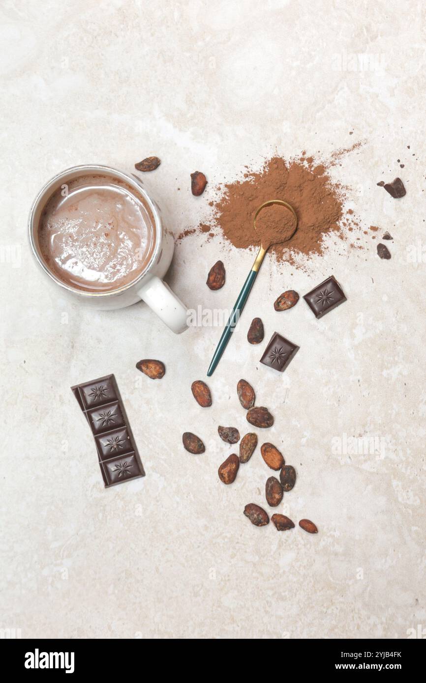 Cacao dans différentes présentations, boisson chaude, haricots, poudre et barre de chocolat Banque D'Images