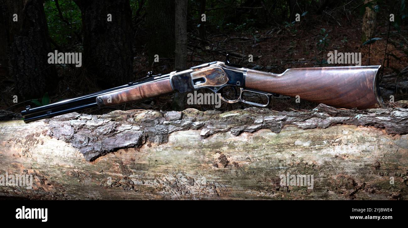 Fusil à levier de longueur de carabine populaire dans le Far West couché à travers une bûche dans la forêt. Banque D'Images