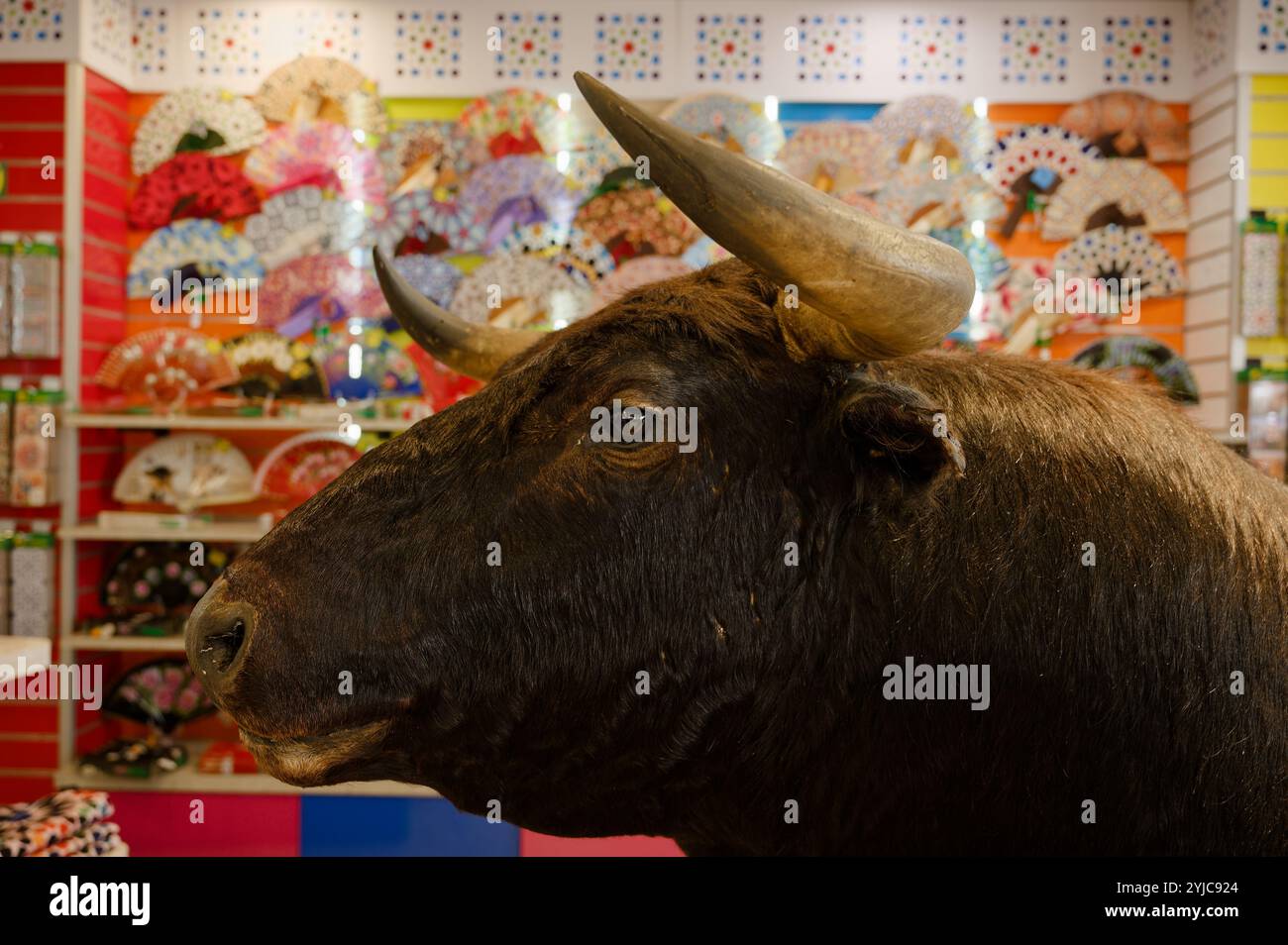 Un affichage de tête de taureau dans une boutique vibrante remplie de fans traditionnels espagnols Banque D'Images