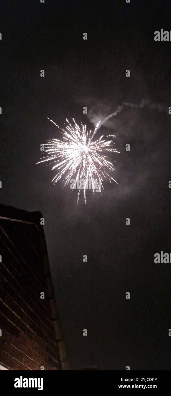Feu d'artifice explosif dans le ciel nocturne Banque D'Images