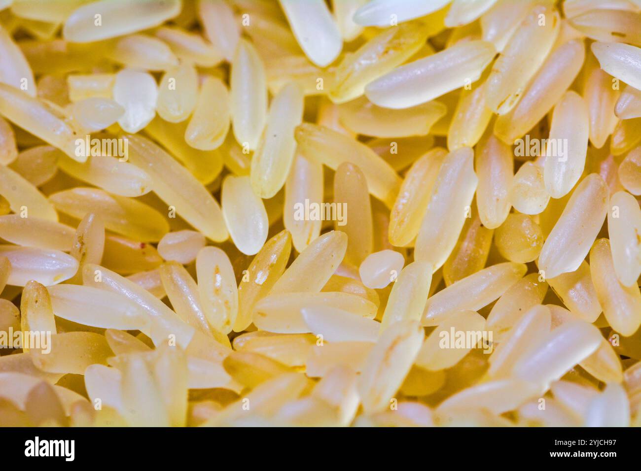 Vue de dessus texturée abstraite sur grains de riz blanc Banque D'Images