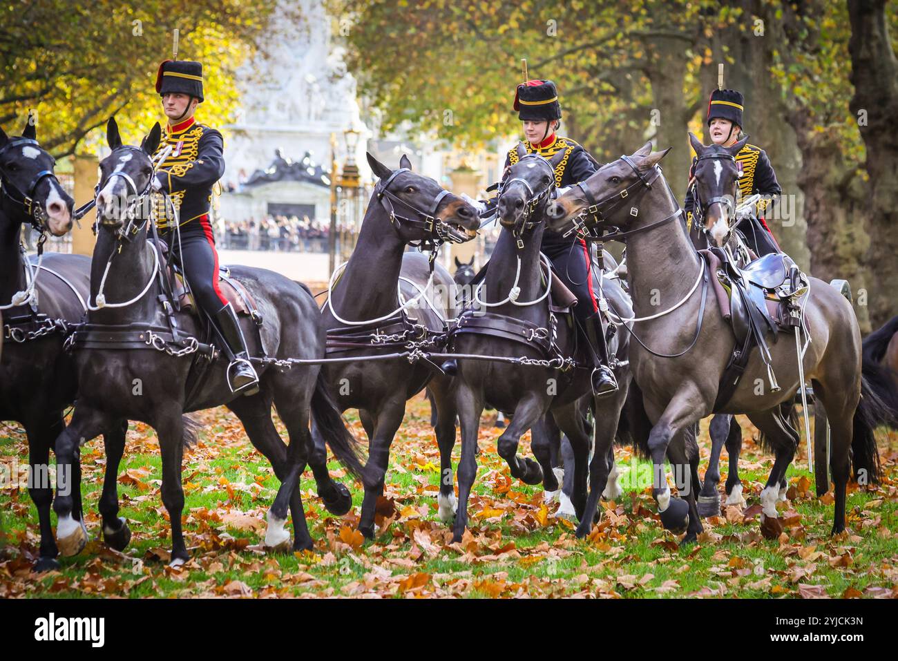 Londres, Royaume-Uni. 14 novembre 2024. Les troupes montées arrivent. Les chevaux, d'abord un peu surexcités et facilement effrayés, se calment bientôt et s'installent dans leur routine. La King's Troop Royal Horse Artillery tire un 41 Gun Royal Salute à Green Park pour marquer le 76e anniversaire du roi Charles. Crédit : Imageplotter/Alamy Live News Banque D'Images