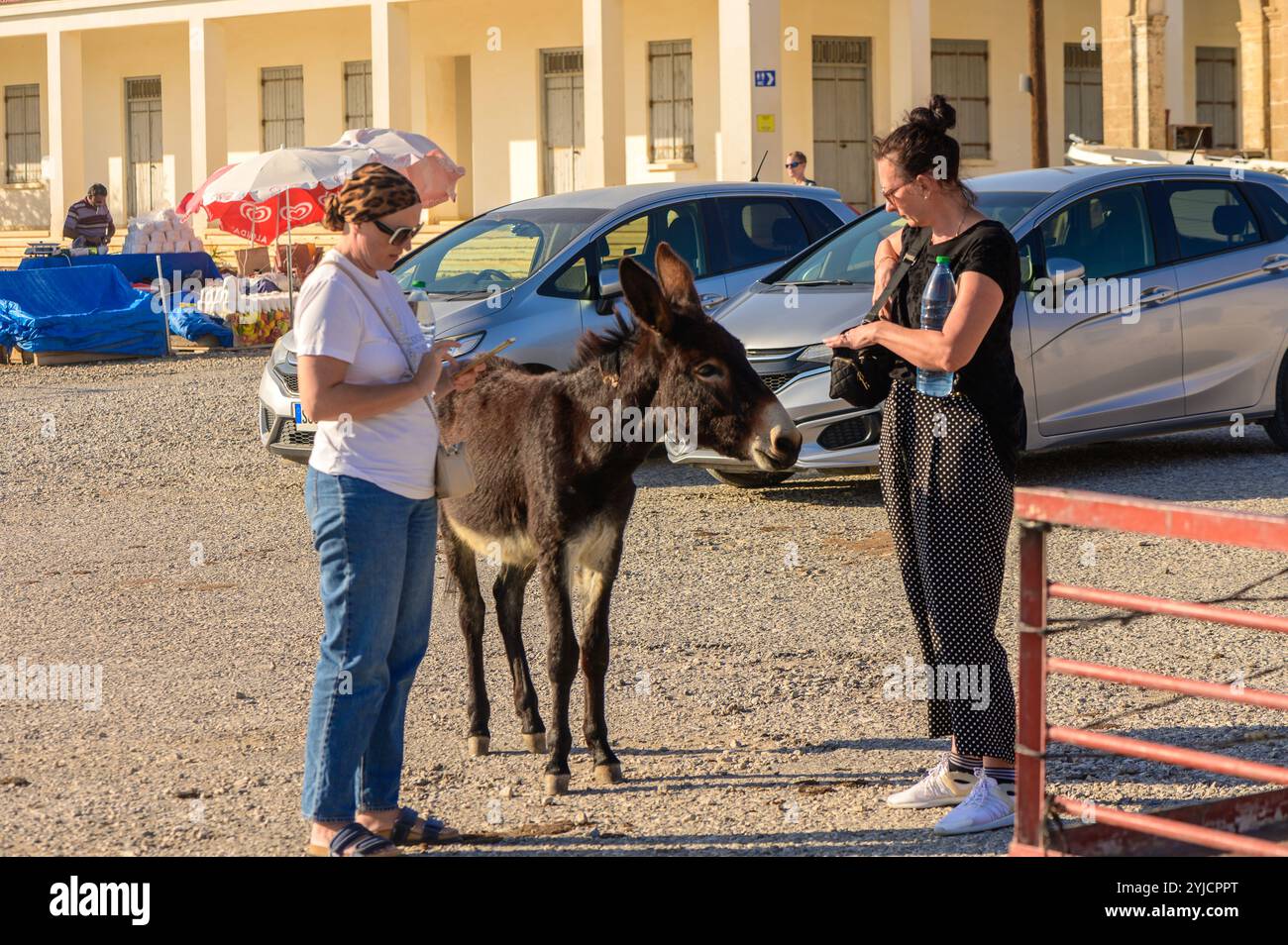 Dans un marché animé, deux femmes s’engagent avec un âne curieux sous le soleil chaud, entourées de voitures. Banque D'Images