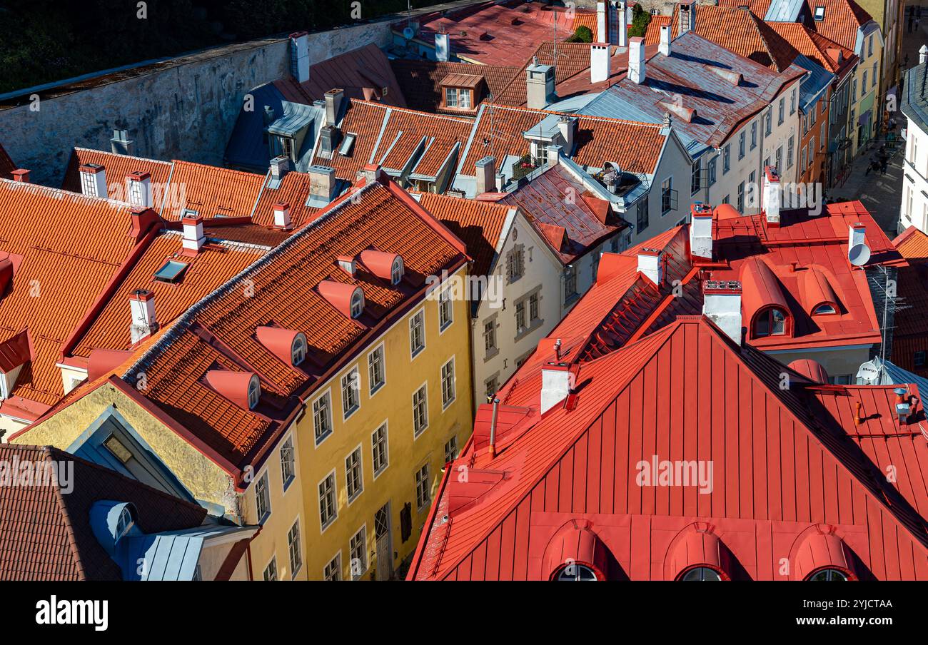 Maisons aux toits rouges et oranges dans le vieux Tallinn. Banque D'Images