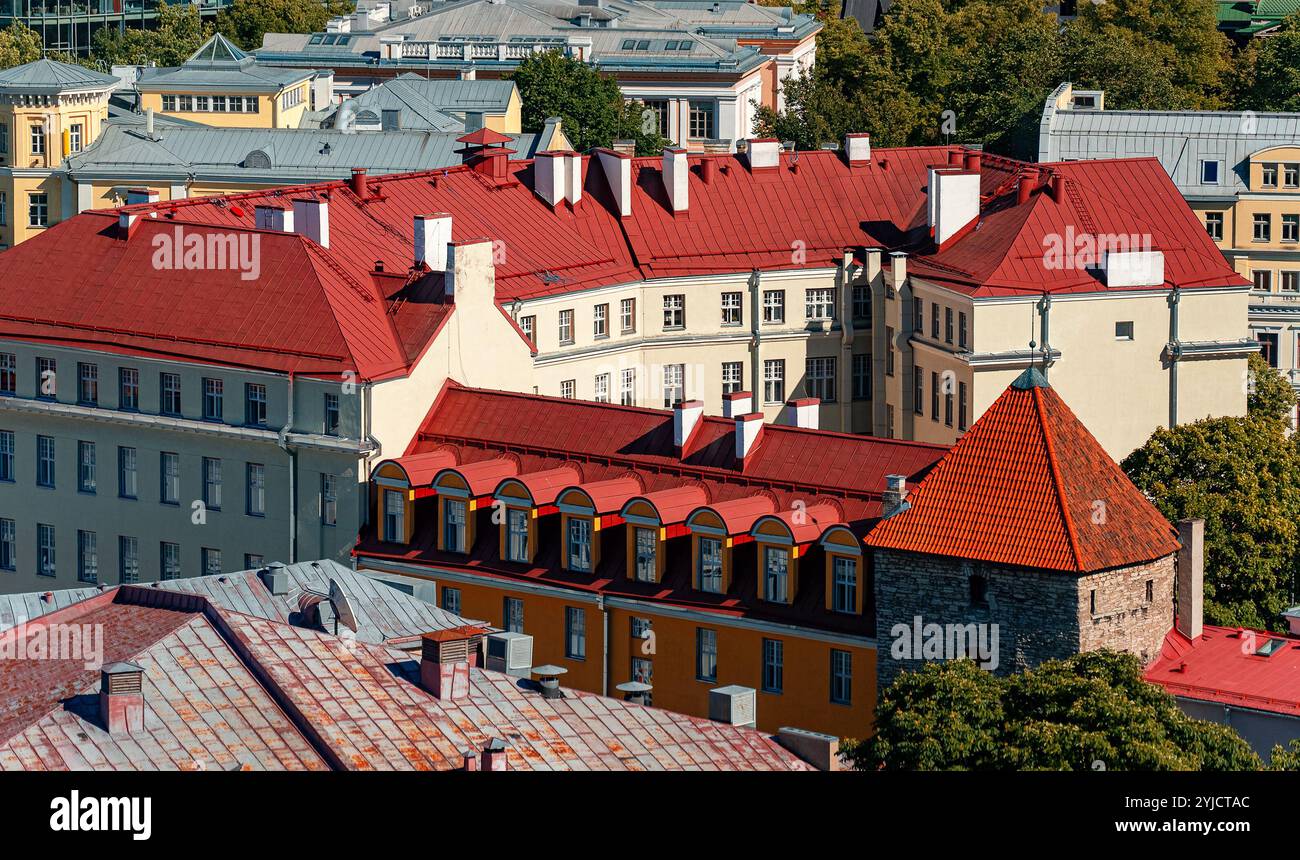 Maisons aux toits rouges et oranges dans le vieux Tallinn. Banque D'Images