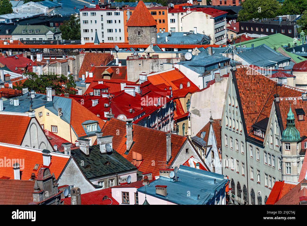 Maisons aux toits rouges et oranges dans le vieux Tallinn. Banque D'Images