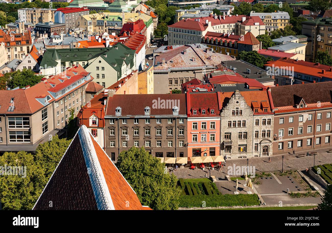 Maisons aux toits rouges et oranges dans le vieux Tallinn. Banque D'Images
