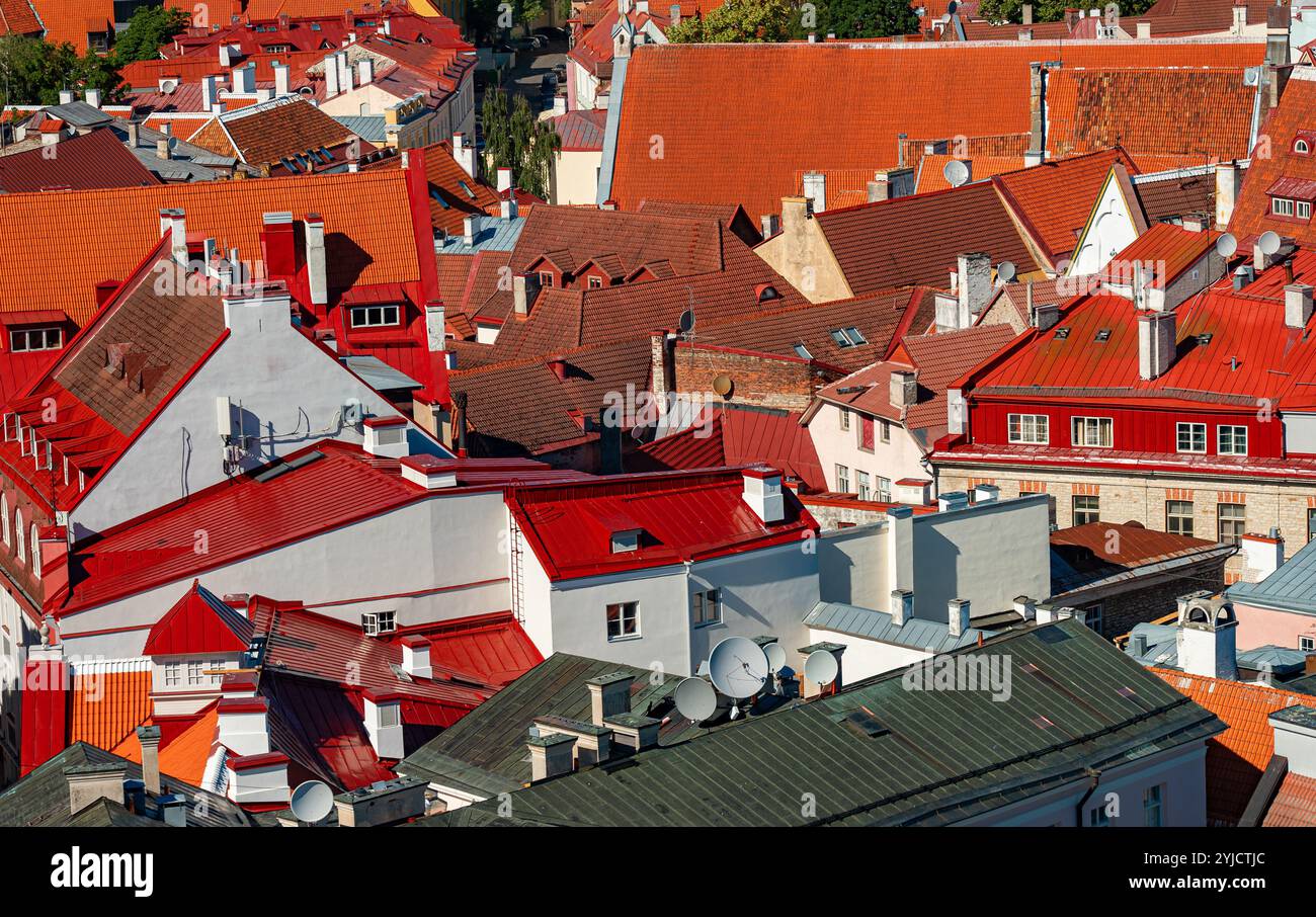 Maisons aux toits rouges et oranges dans le vieux Tallinn. Banque D'Images