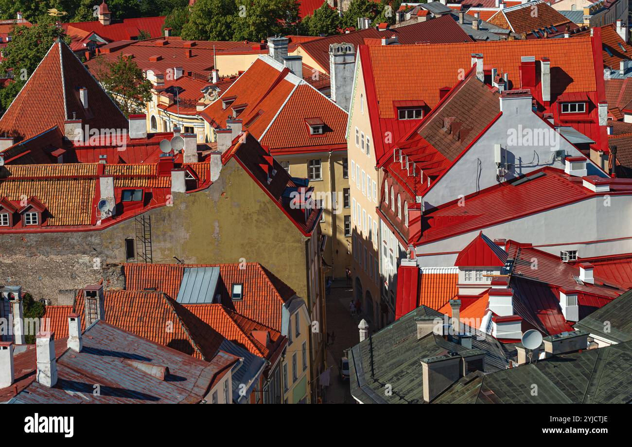 Maisons aux toits rouges et oranges dans le vieux Tallinn. Banque D'Images
