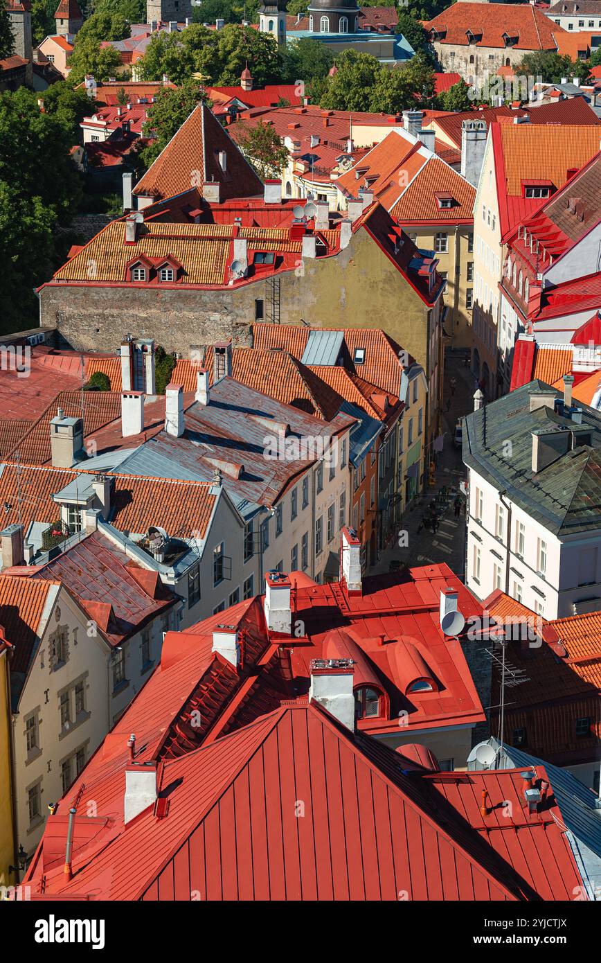 Maisons aux toits rouges et oranges dans le vieux Tallinn. Banque D'Images