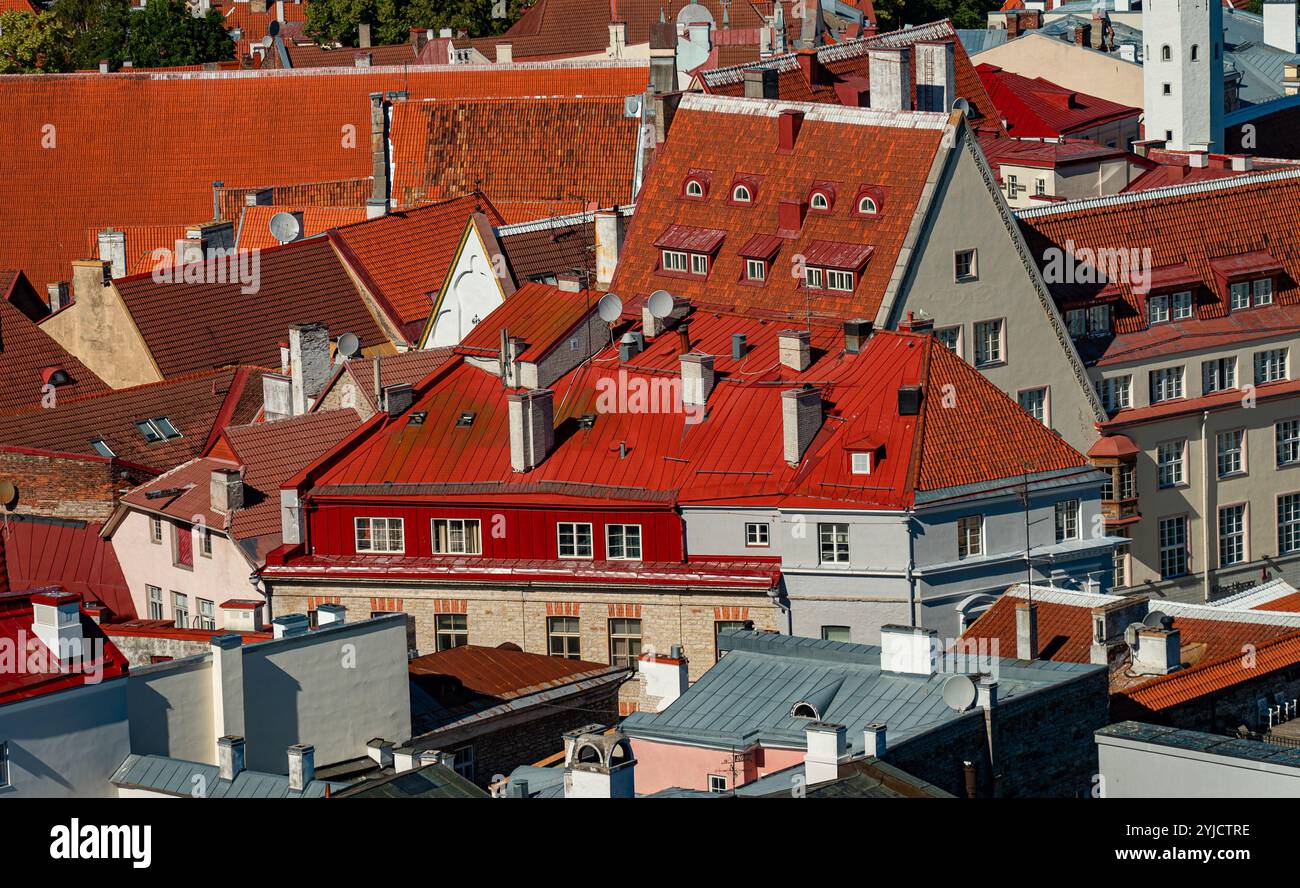Maisons aux toits rouges et oranges dans le vieux Tallinn. Banque D'Images
