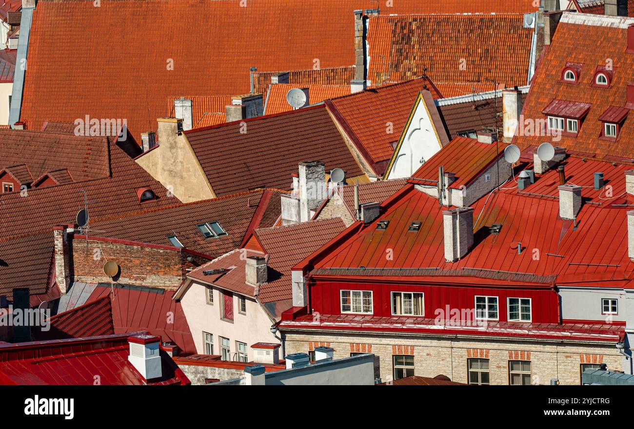Maisons aux toits rouges et oranges dans le vieux Tallinn. Banque D'Images