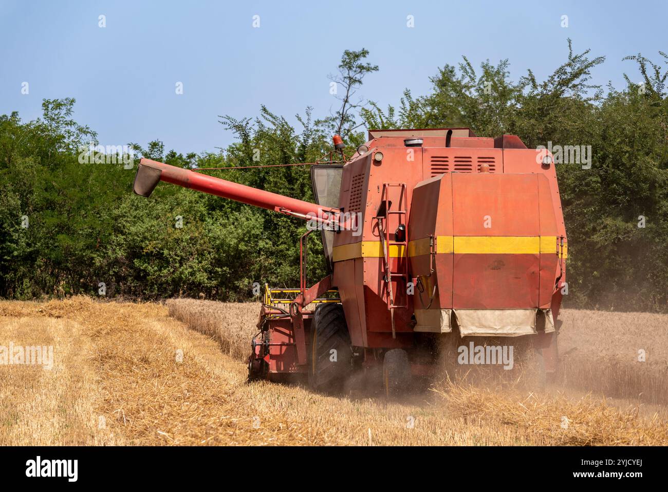 Une moissonneuse-batteuse récolte le blé mûr dans un champ agricole par une journée ensoleillée. Banque D'Images