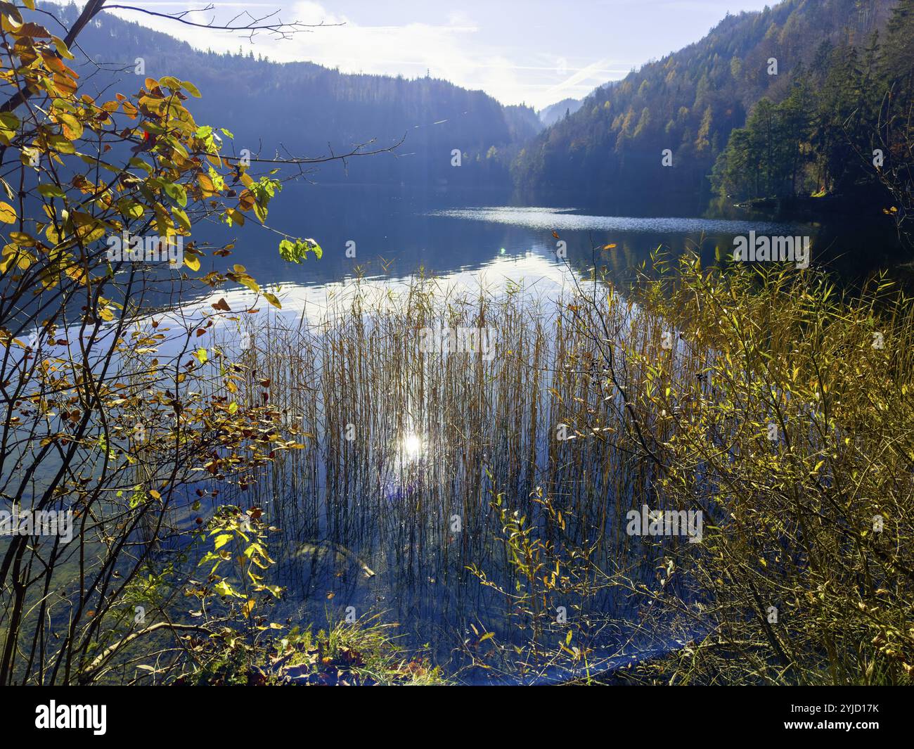 Ambiance automnale au lac Hechtsee près de Kufstein, Tyrol, Autriche, Europe Banque D'Images