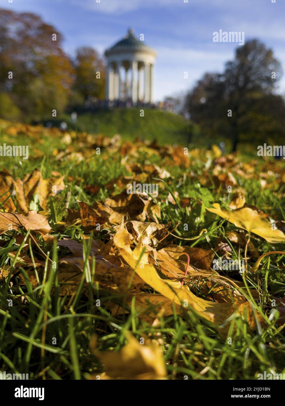 Atmosphère d'automne dans le jardin anglais, Monopteros, Munich, Bavière, Allemagne, Europe Banque D'Images