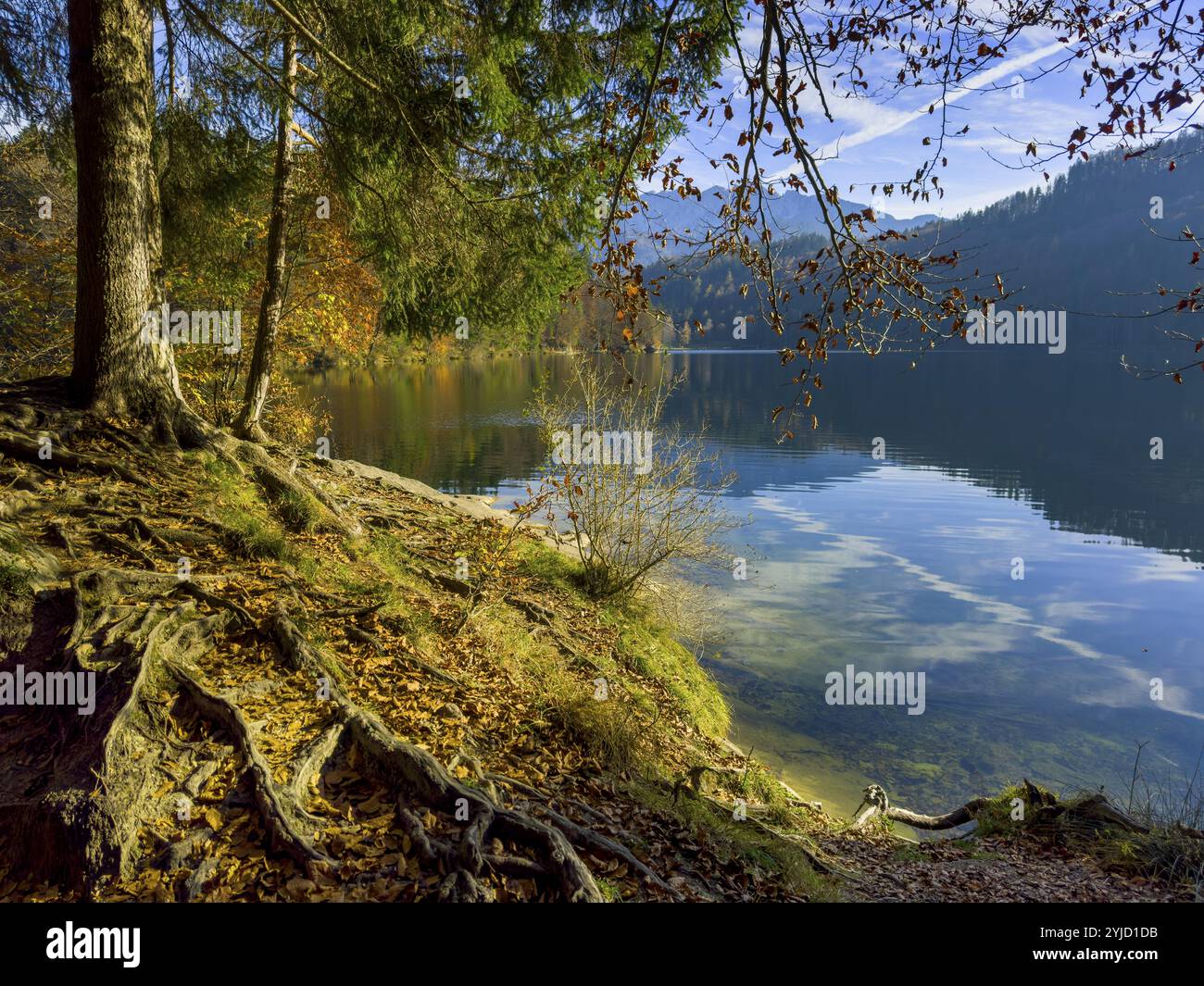 Ambiance automnale au lac Hechtsee près de Kufstein, Tyrol, Autriche, Europe Banque D'Images