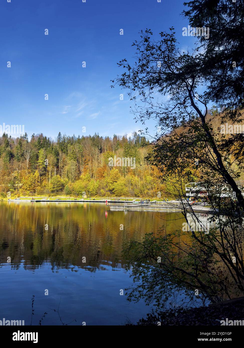 Ambiance automnale au lac Hechtsee près de Kufstein, Tyrol, Autriche, Europe Banque D'Images