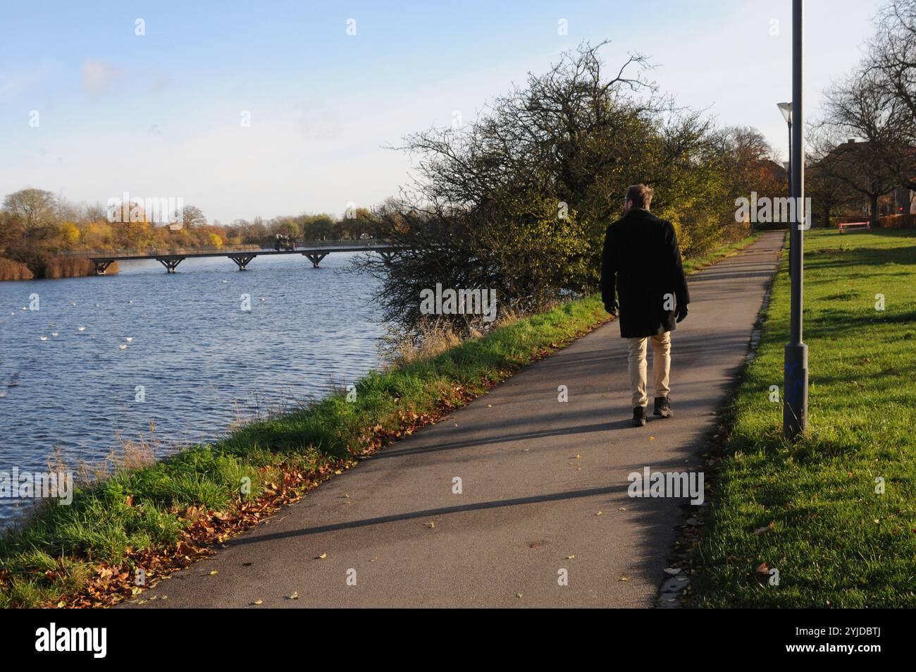 Copenhagen/ Denmark/14 NOV. 2024/quelques promenades et quelques courses avec christianhavn vold lac ad Park aand profitez des feuilles jaunes et brunes montre le temps d'automne ou seson d'automne sur christianshavn vold dans la capitale danoise. (Photo. Francis Joseph Dean/Dean Pictures) (non destiné à un usage commercial) Banque D'Images