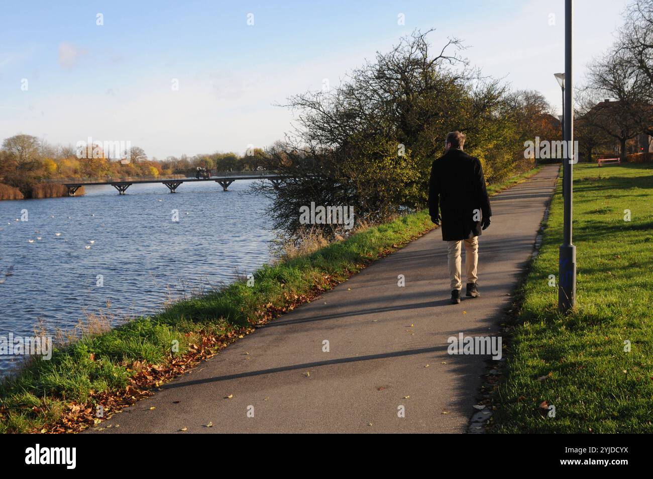 Copenhagen/ Denmark/14 NOV. 2024/quelques promenades et quelques courses avec christianhavn vold lac ad Park aand profitez des feuilles jaunes et brunes montre le temps d'automne ou seson d'automne sur christianshavn vold dans la capitale danoise. Photo. Francis Joseph Dean/Dean images non destinées à un usage commercial Banque D'Images