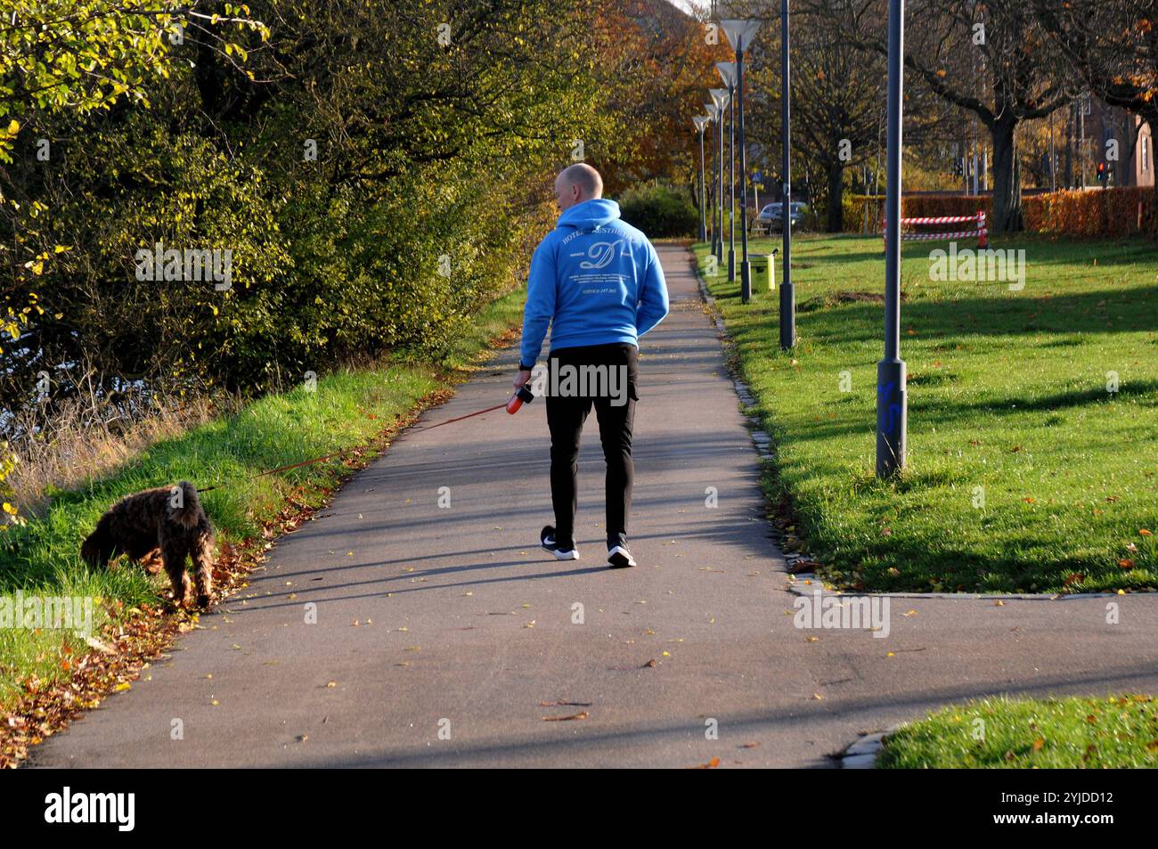 Copenhagen/ Denmark/14 NOV. 2024/quelques promenades et quelques courses avec christianhavn vold lac ad Park aand profitez des feuilles jaunes et brunes montre le temps d'automne ou seson d'automne sur christianshavn vold dans la capitale danoise. Photo. Francis Joseph Dean/Dean images non destinées à un usage commercial Banque D'Images