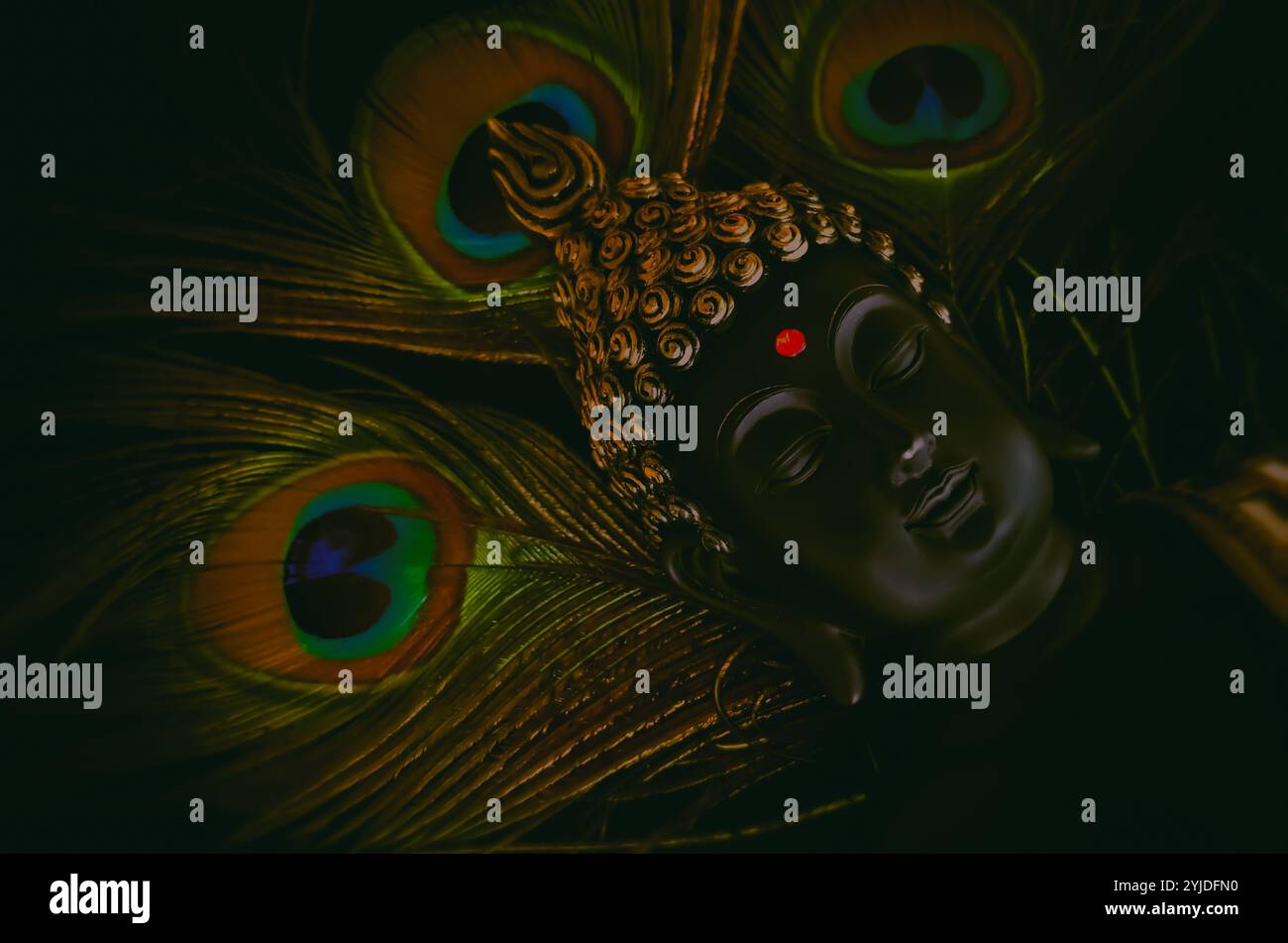 idole de bouddha riante dormant sur des plumes de paon. belle image de fond de bouddha dans un état calme médité.paisible et relaxant fond zen. Banque D'Images