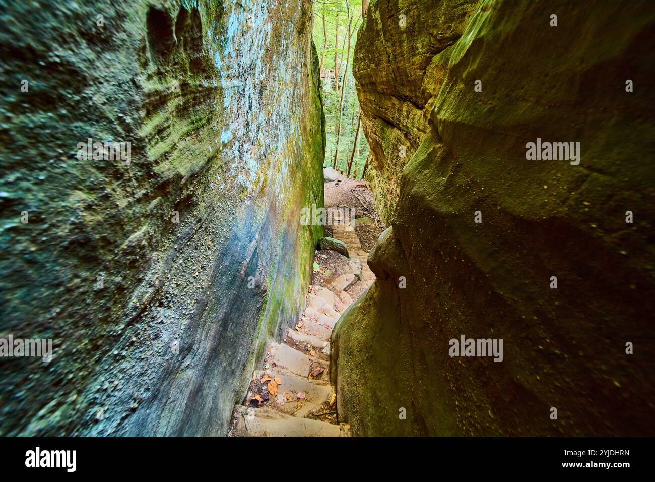 Escaliers Cantwell Cliffs Trail dans la perspective Autumn gorge Eye Level Banque D'Images