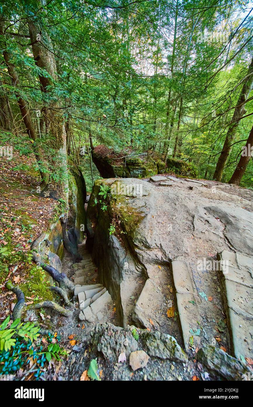 Forest Stairway à Cantwell Cliffs Ohio Elevated View Banque D'Images