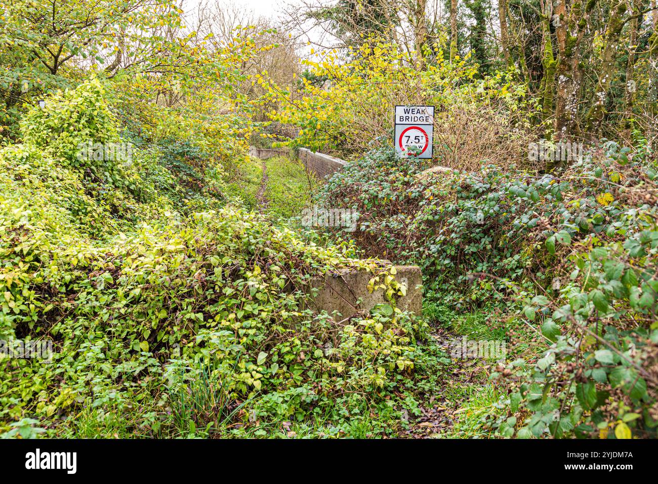 Un pont routier faible a fermé la circulation sur la ligne de chemin de fer Banbury and Cheltenham Direct Railway désaffectée près du village Cotswold de Hampen, Gloucestershire Banque D'Images