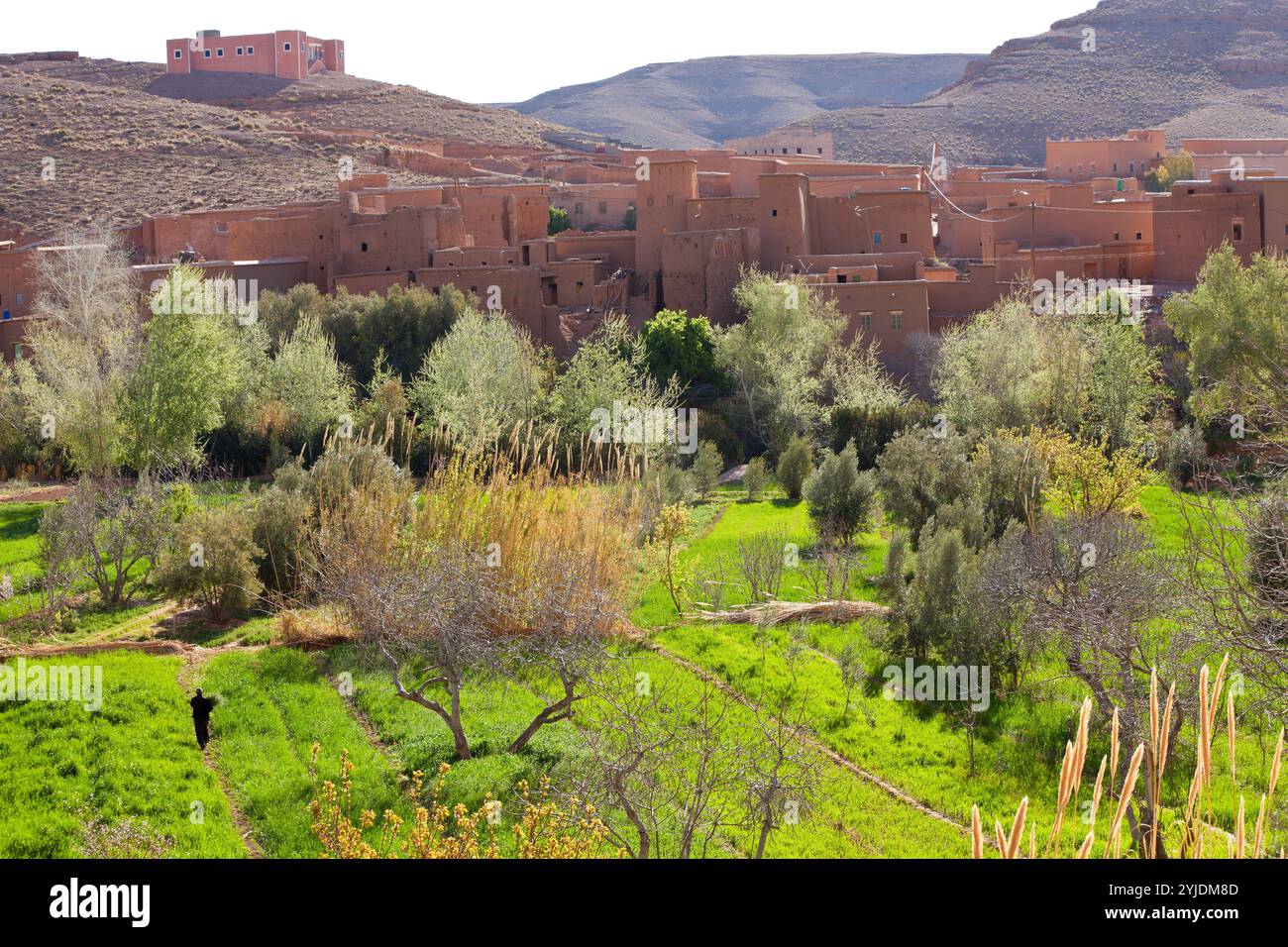Ksar ou village fortifié, vallée du Dadès, gorges du Dadès, Ouarzazate, Maroc région Banque D'Images