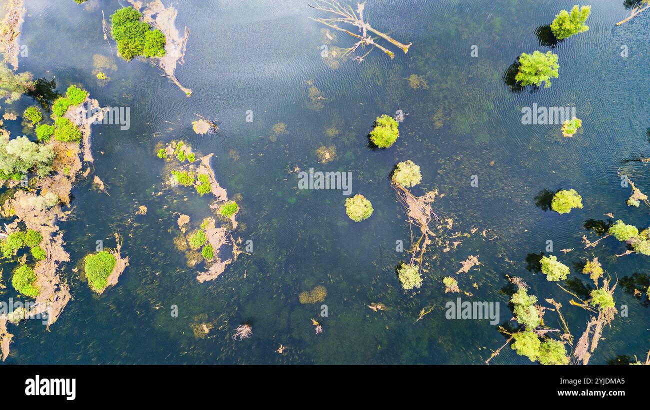 MORI, ITALIE – 21 AOÛT 2024 : les eaux sereines du lac Loppio, nichées entre les collines, reflètent le paysage environnant, créant un cadre paisible et Banque D'Images